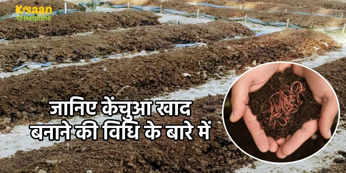 जानिए केंचुआ खाद बनाने की विधि के बारे में जानिए केंचुआ खाद बनाने की विधि के बारे में